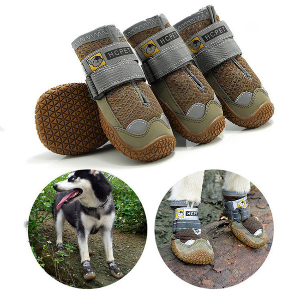 Summer Breathable Pet Shoes
